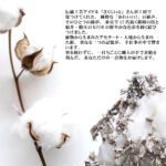 tg_ac20